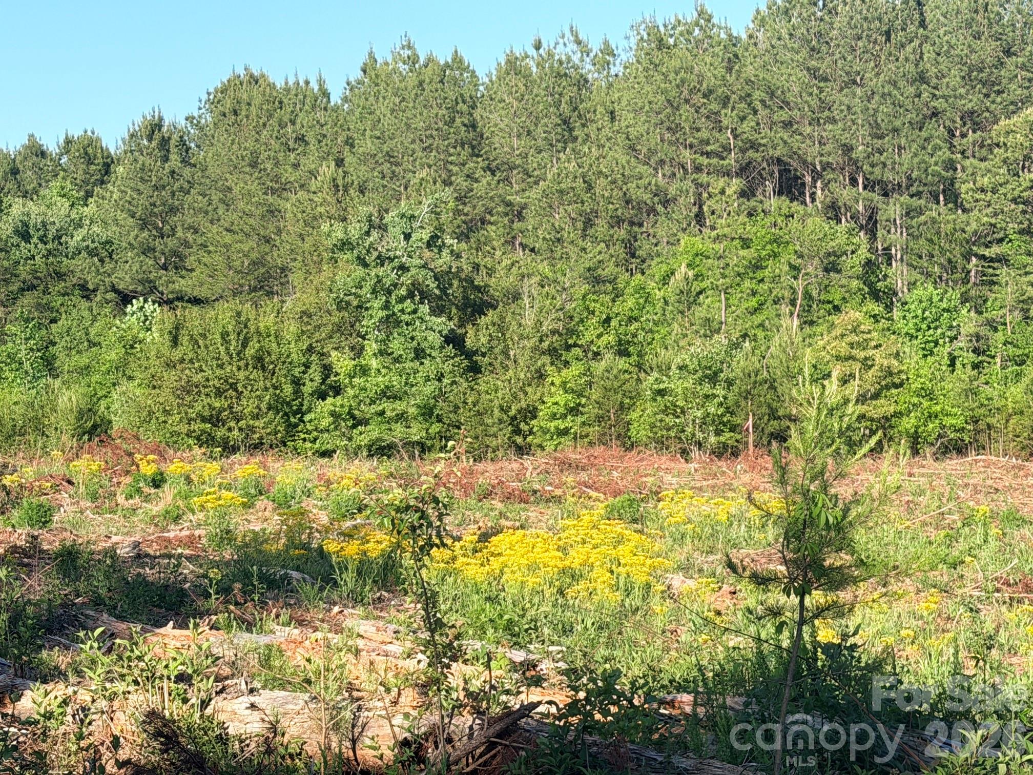 Lot 2 Doggett Grove Road