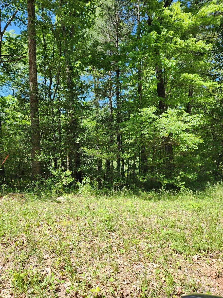 Beautiful lot! ideal for basement home-build your dream home with no sq. footage requirements or HOA's. This property is conveniently located near Hwy 127 and Hwy 16. Several local amenities near by include lake access area, restaurants, schools and shopping.