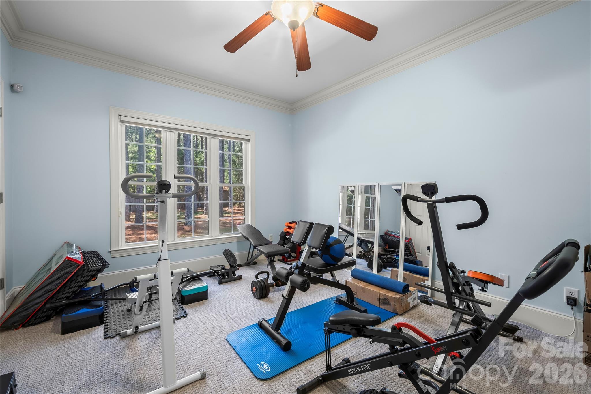 Patrick Place - Residential