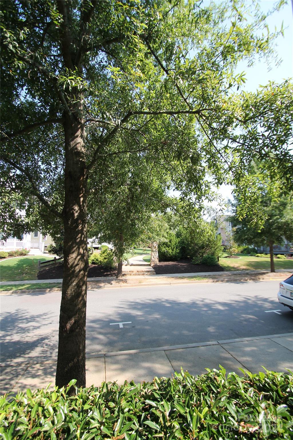 The Views - Residential Lease