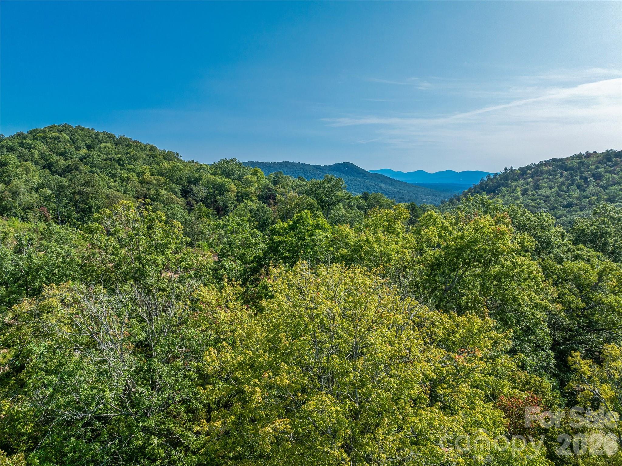 567 Davey Branch Road