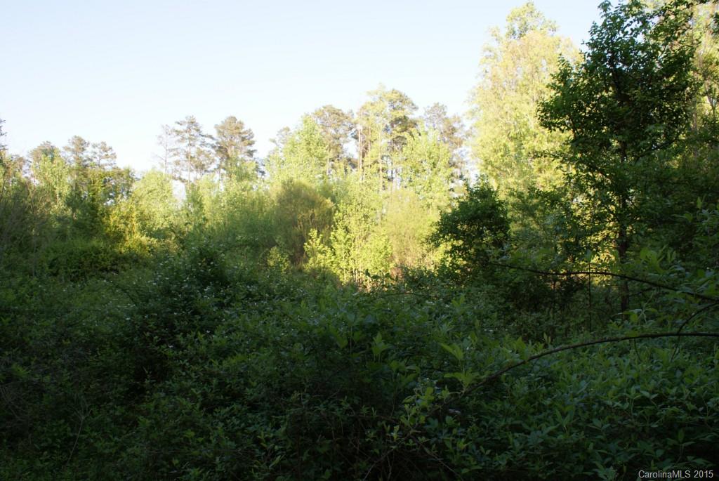 Catawba Shores Estates - Land