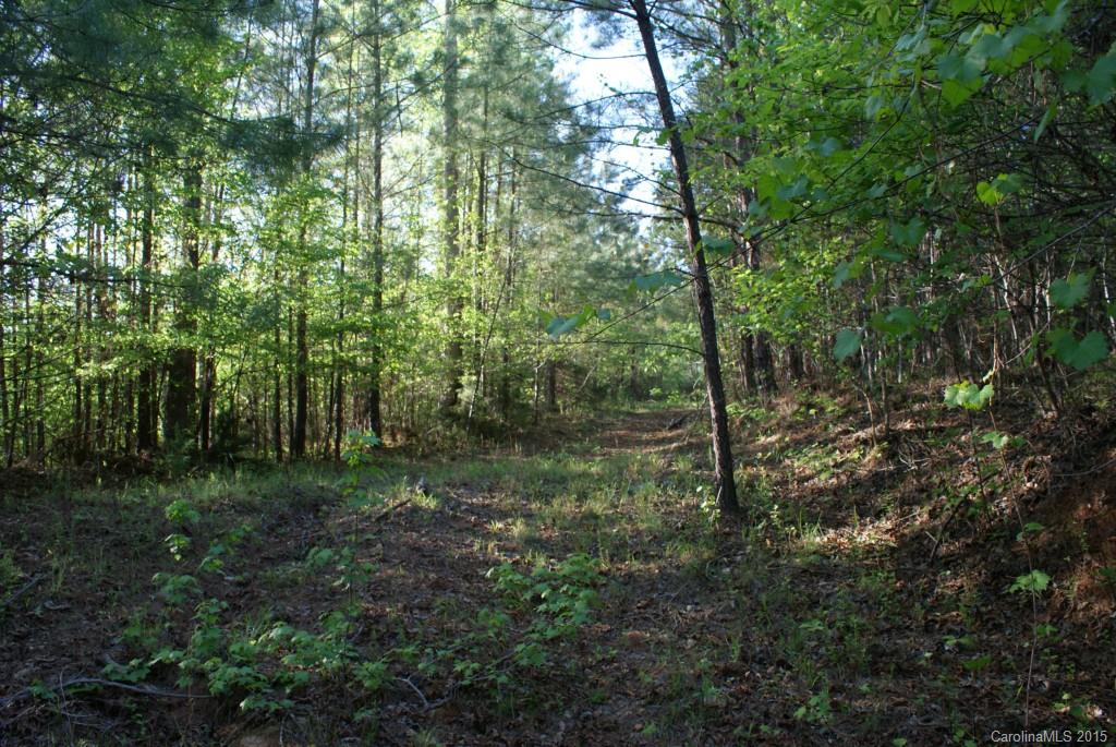 Catawba Shores Estates - Land