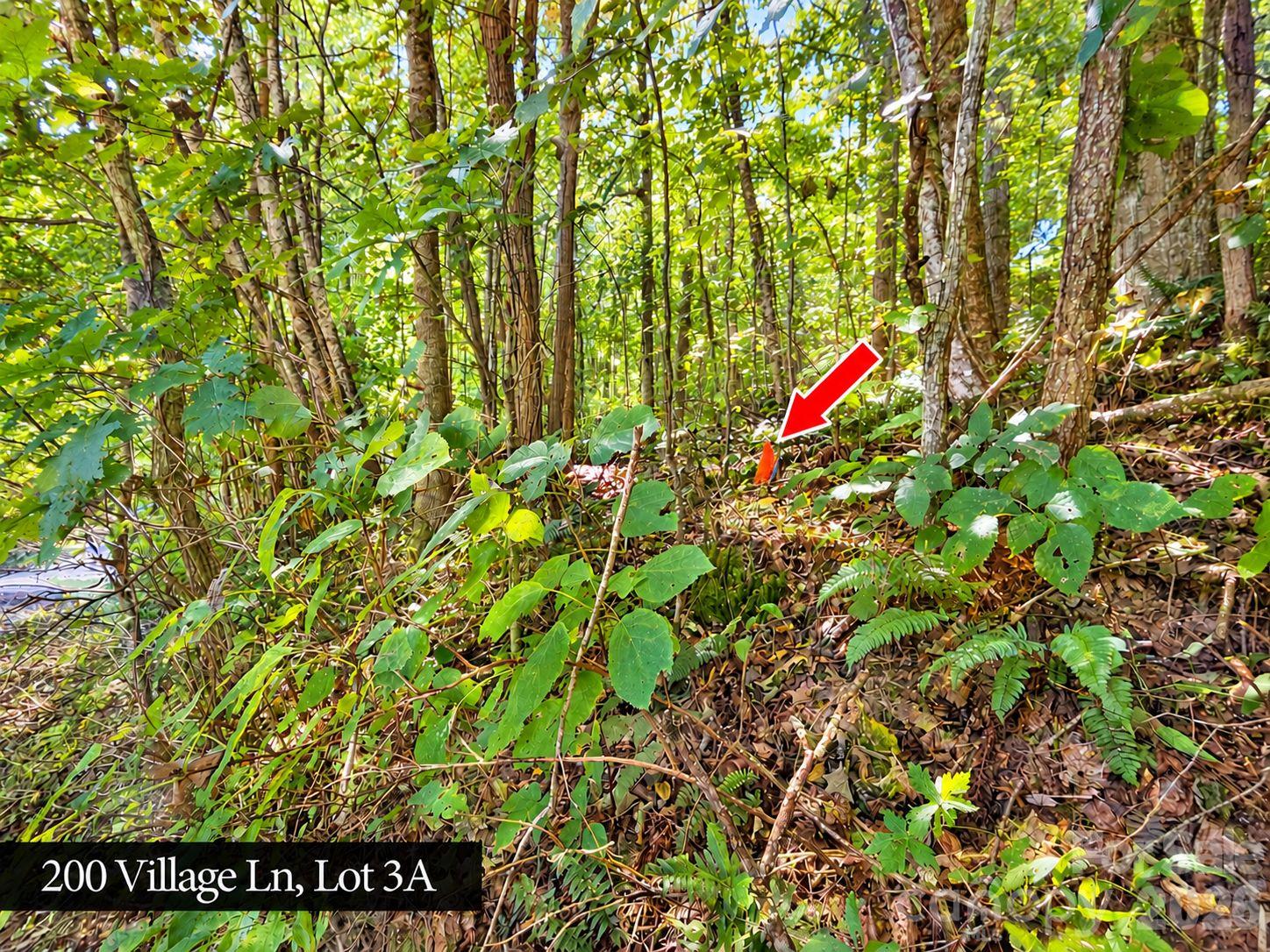 200 Village Lane 3A