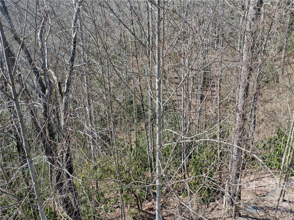 Cummings Cove - Land