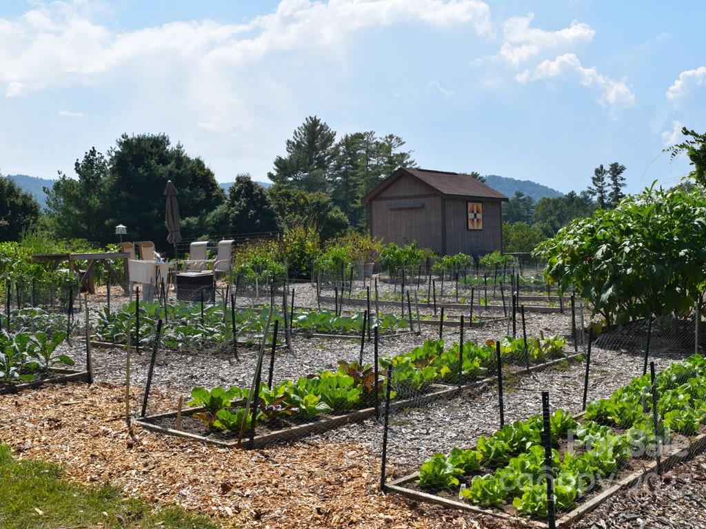 Cummings Cove - Land