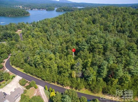 V/L Harborside Road 208 Nebo NC 28761