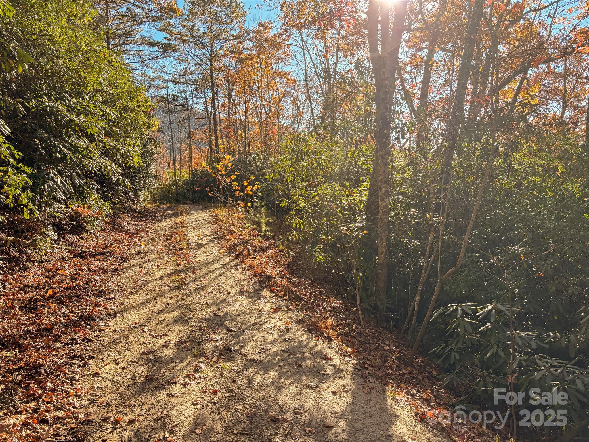 4444 Conley Ridge Trail