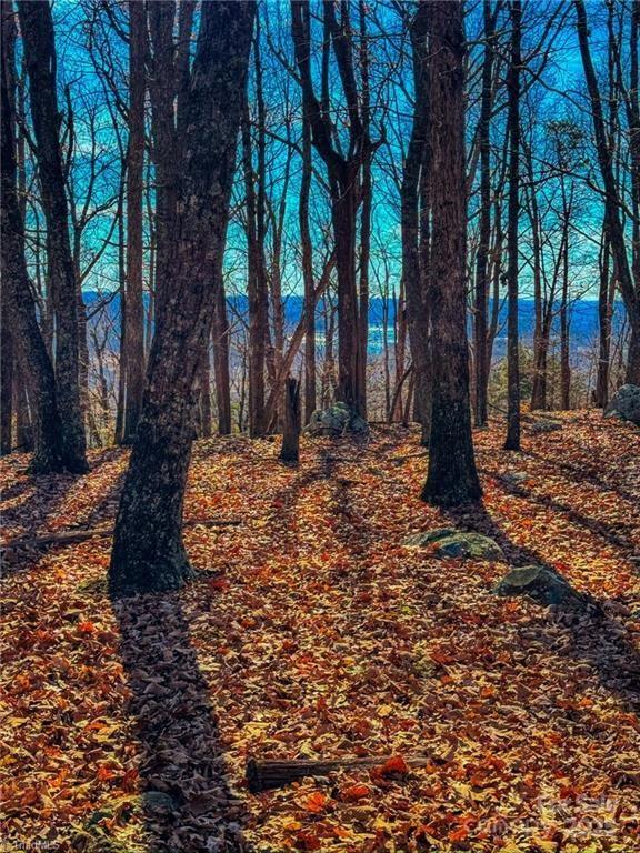 The Springs At High Rock - Land