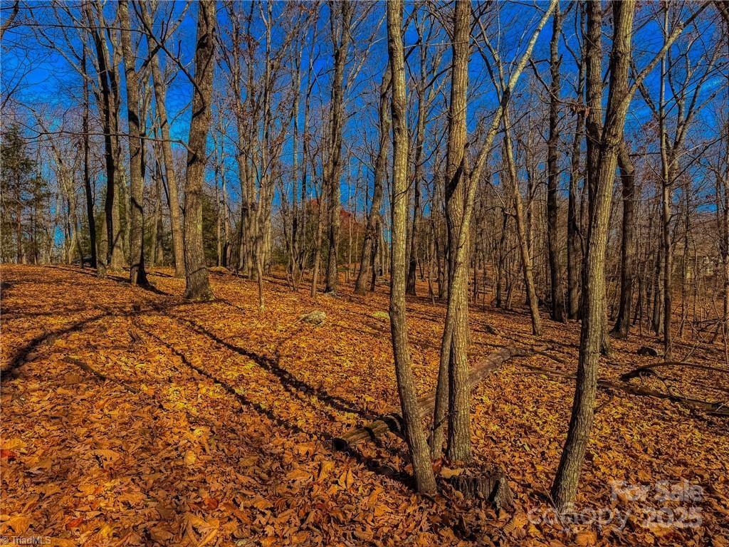 The Springs At High Rock - Land