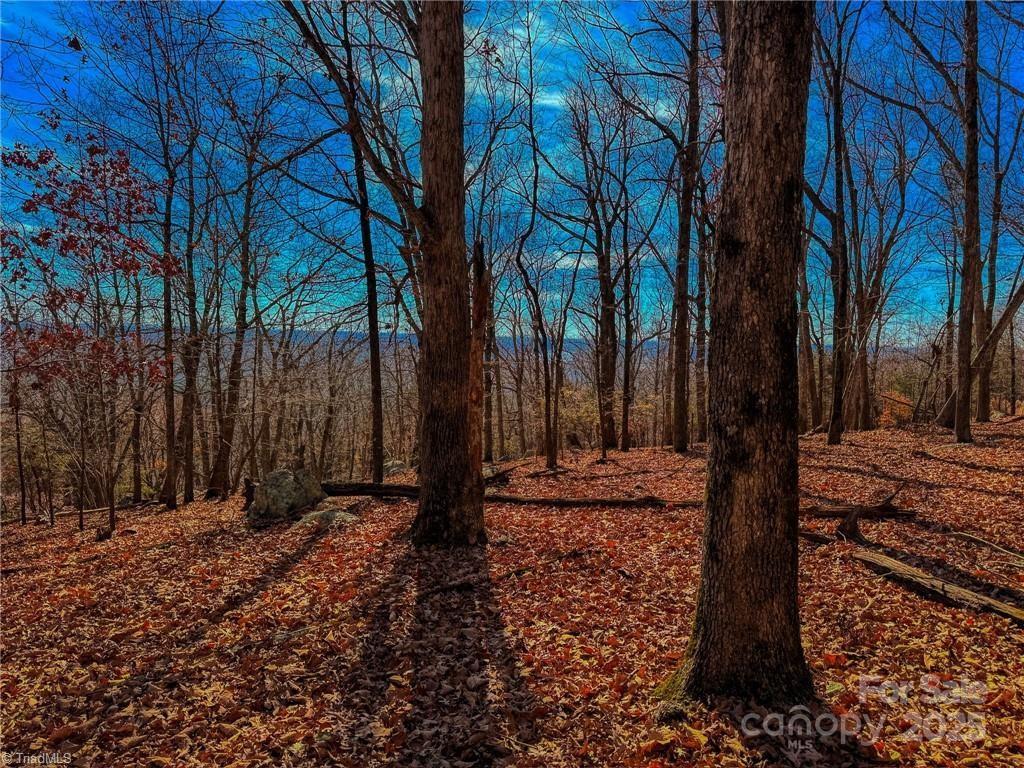 The Springs At High Rock - Land