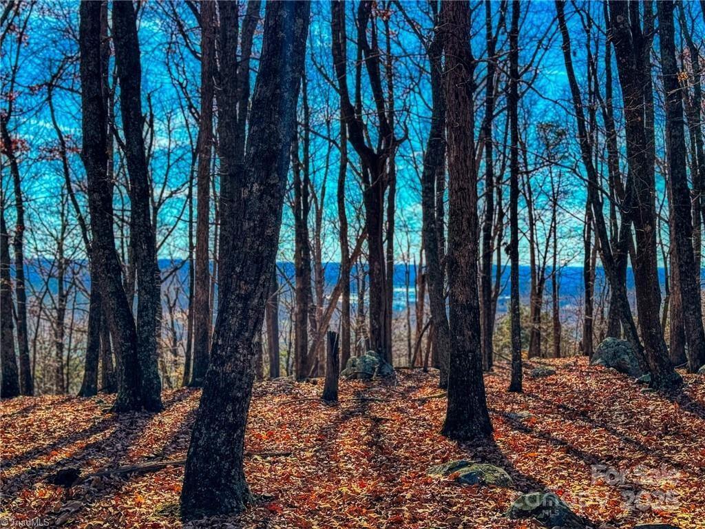 The Springs At High Rock - Land