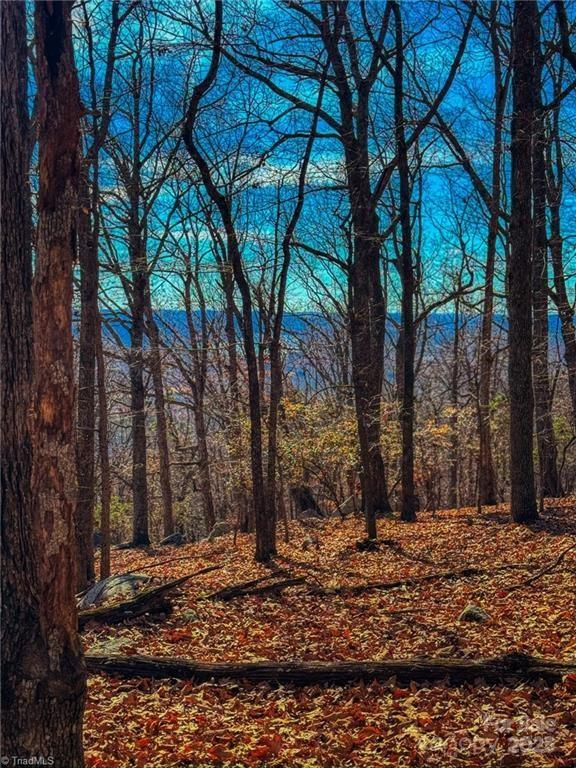 The Springs At High Rock - Land