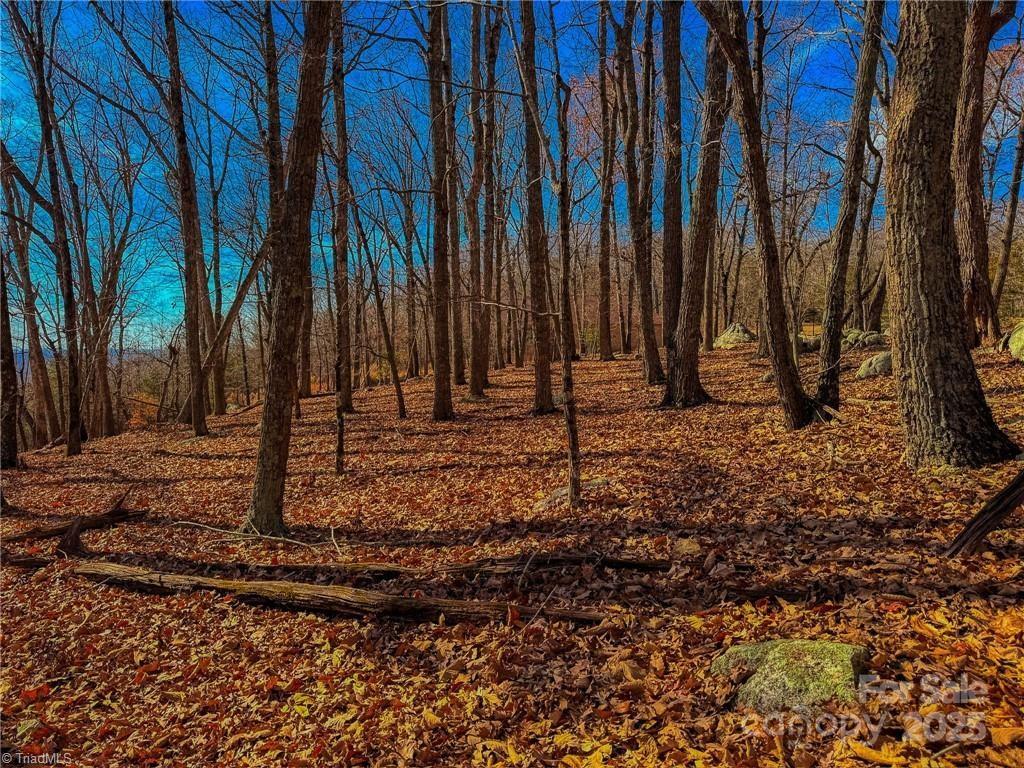 The Springs At High Rock - Land