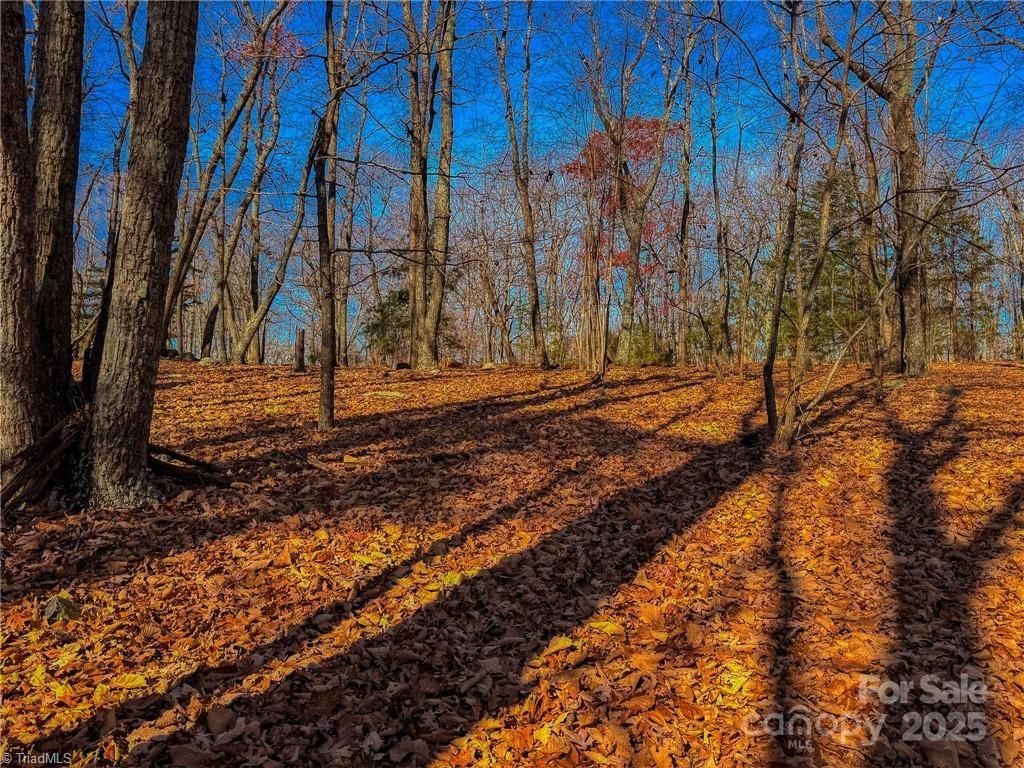 The Springs At High Rock - Land
