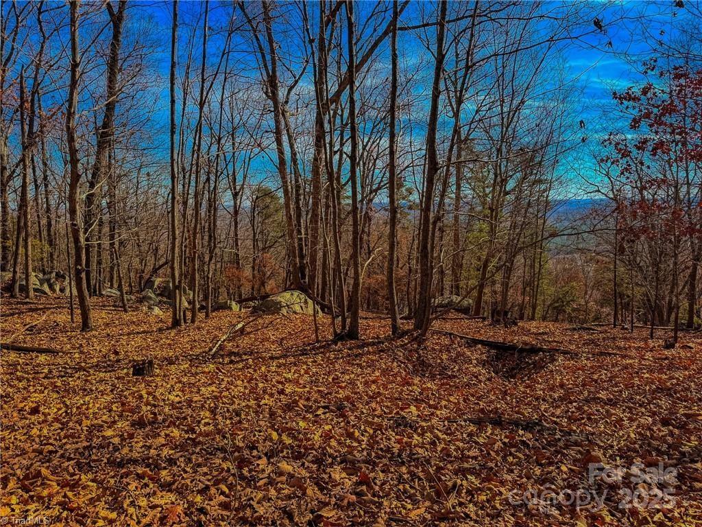 The Springs At High Rock - Land
