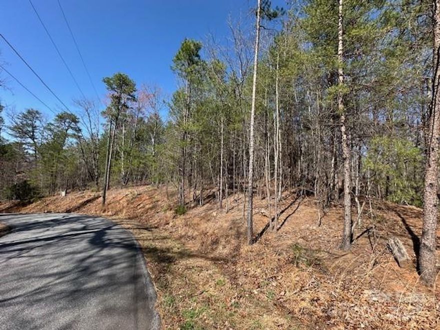 Don't miss a very rare opportunity to own three adjoining lots in the town of Lake Lure city limits.  These properties have not been on the market since March of 2005.  Per the town of Lake Lure zoning department sewer may or may not be available. Well and septic recommended.  Seller will consider selling separately with an acceptable offer.  Beautiful, scenic location w/spring, fall & winter views of Lake Lure & the surrounding mountains.  Lots are located across the street from the lakefront properties on Lake Lure.  Great place to build a vacation home or permanent residence.  Lots of paved road frontage that allows easy access for driveway & house site.  Conveniently located to the beach on Lake Lure, and Chimney Rock State Park, shopping and restaurants.  Convenient to Charlotte and Asheville airports and Greenville, SC airport.  Convenient to many points of interest in Western NC and the upstate areas of SC. No HOA!