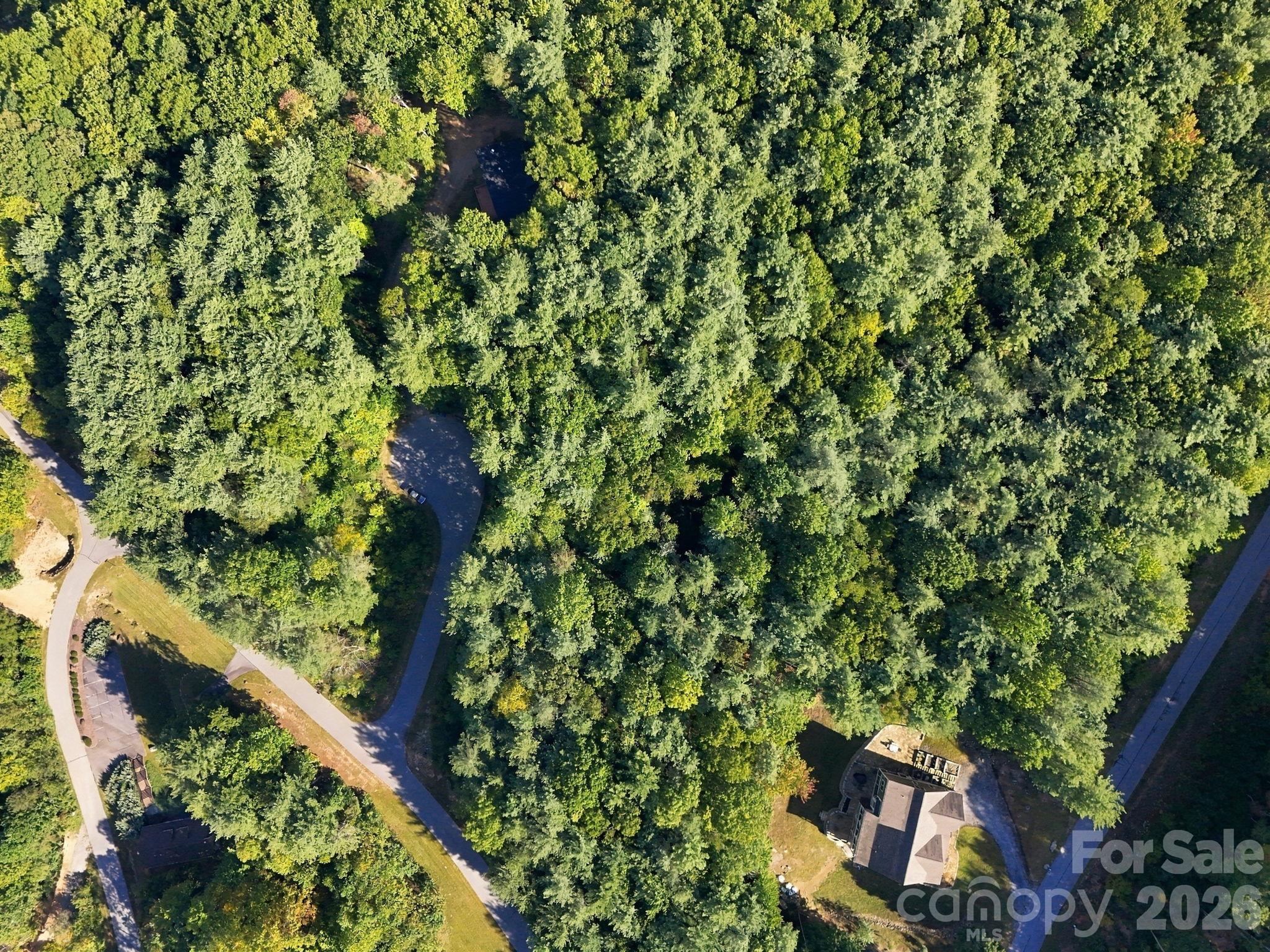 7 Spruce Tree Court