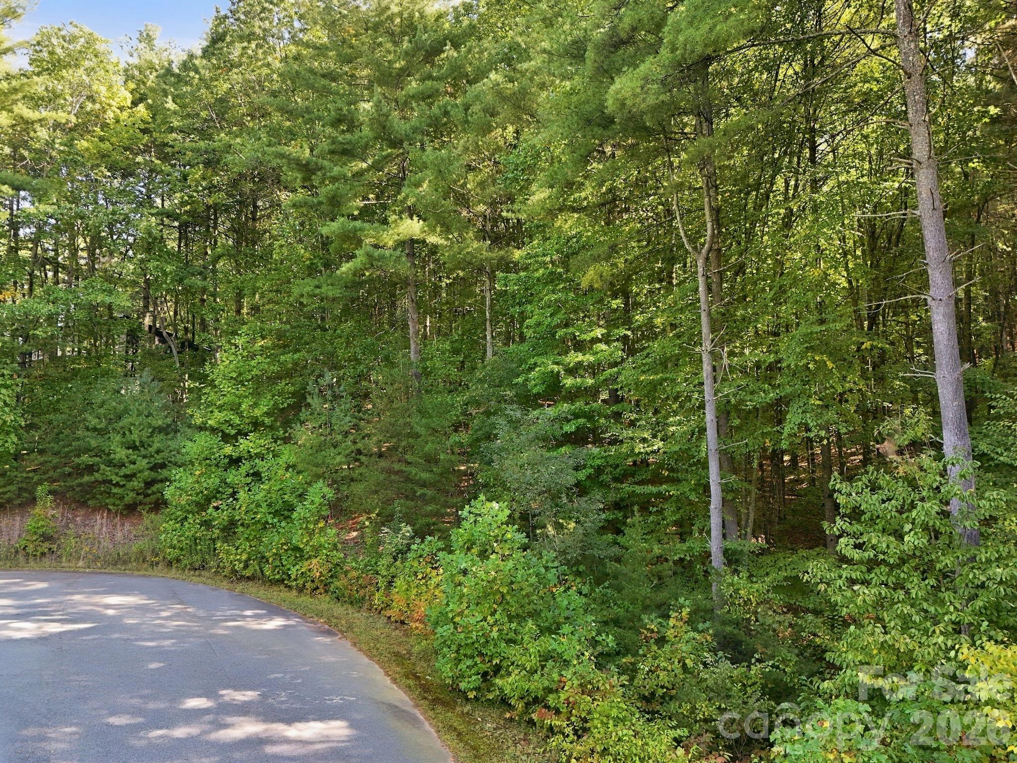 7 Spruce Tree Court