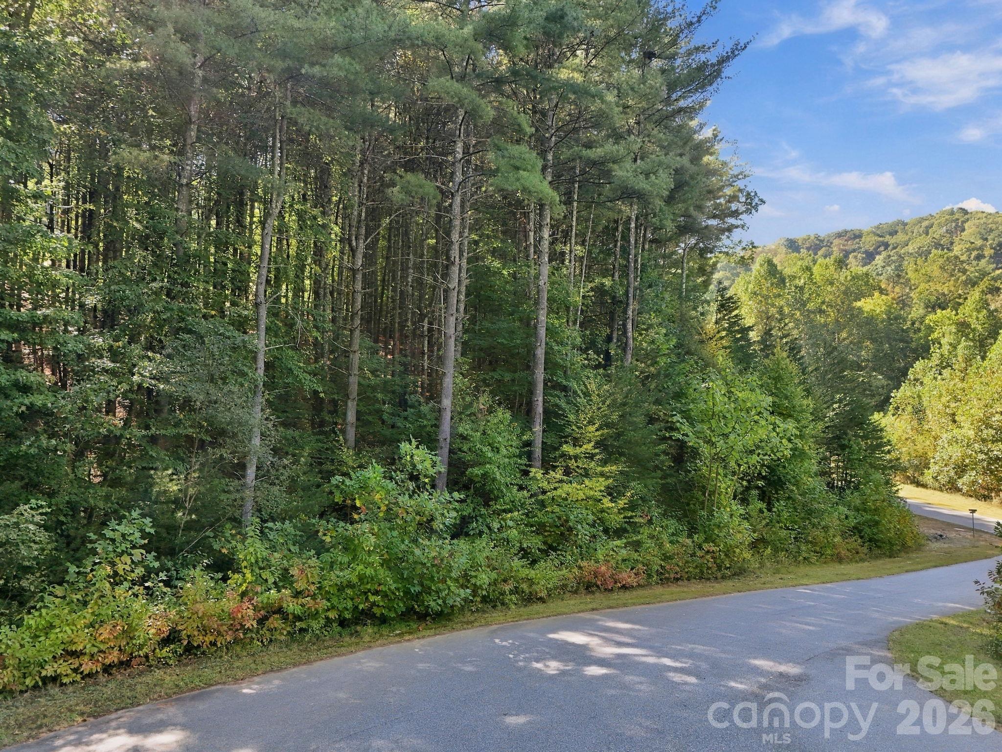 7 Spruce Tree Court