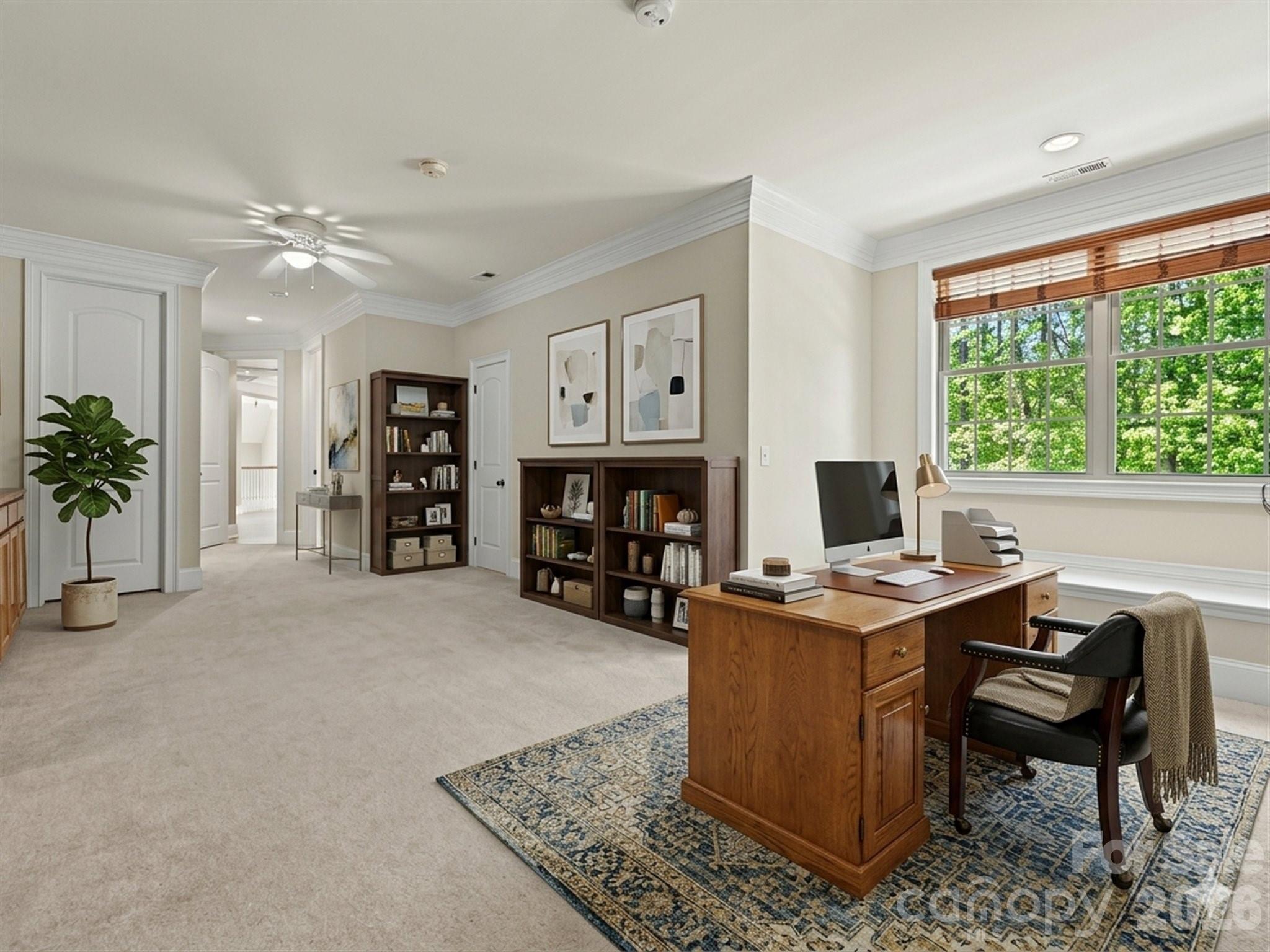 Palm Tree Cove - Residential