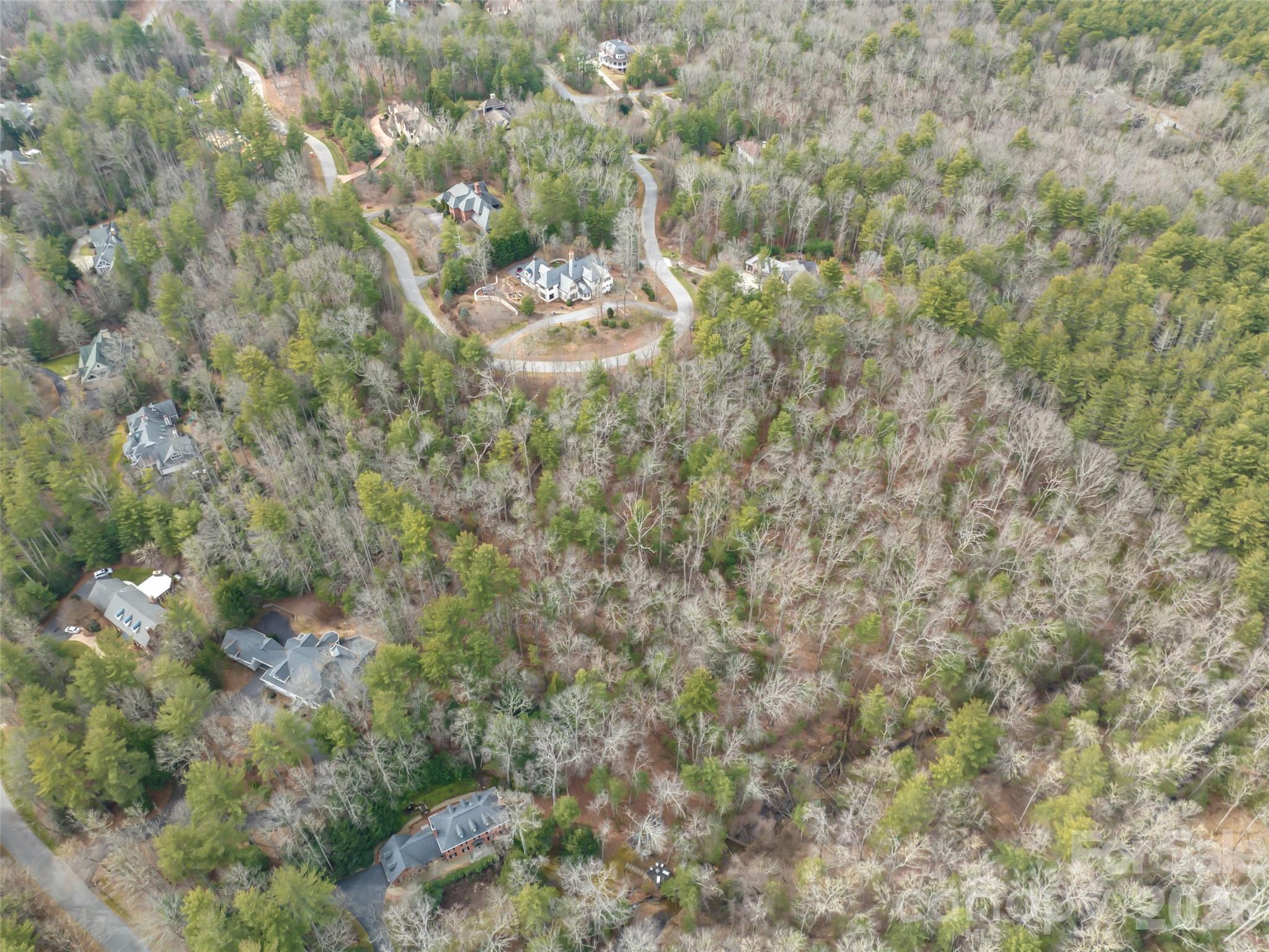 Biltmore Forest - Residential