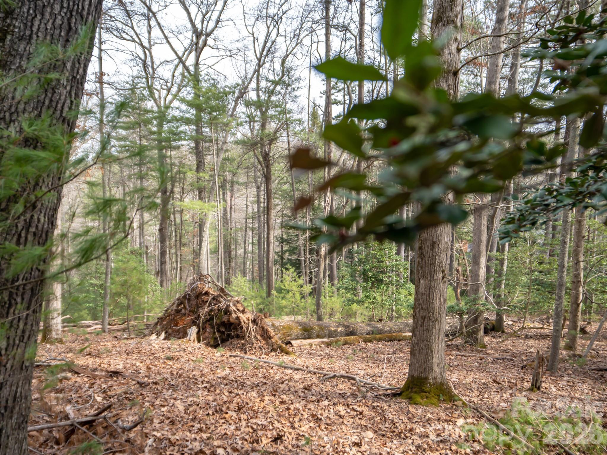 Biltmore Forest - Residential