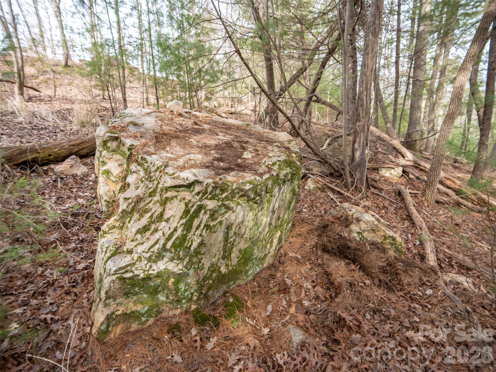 Biltmore Forest - Residential