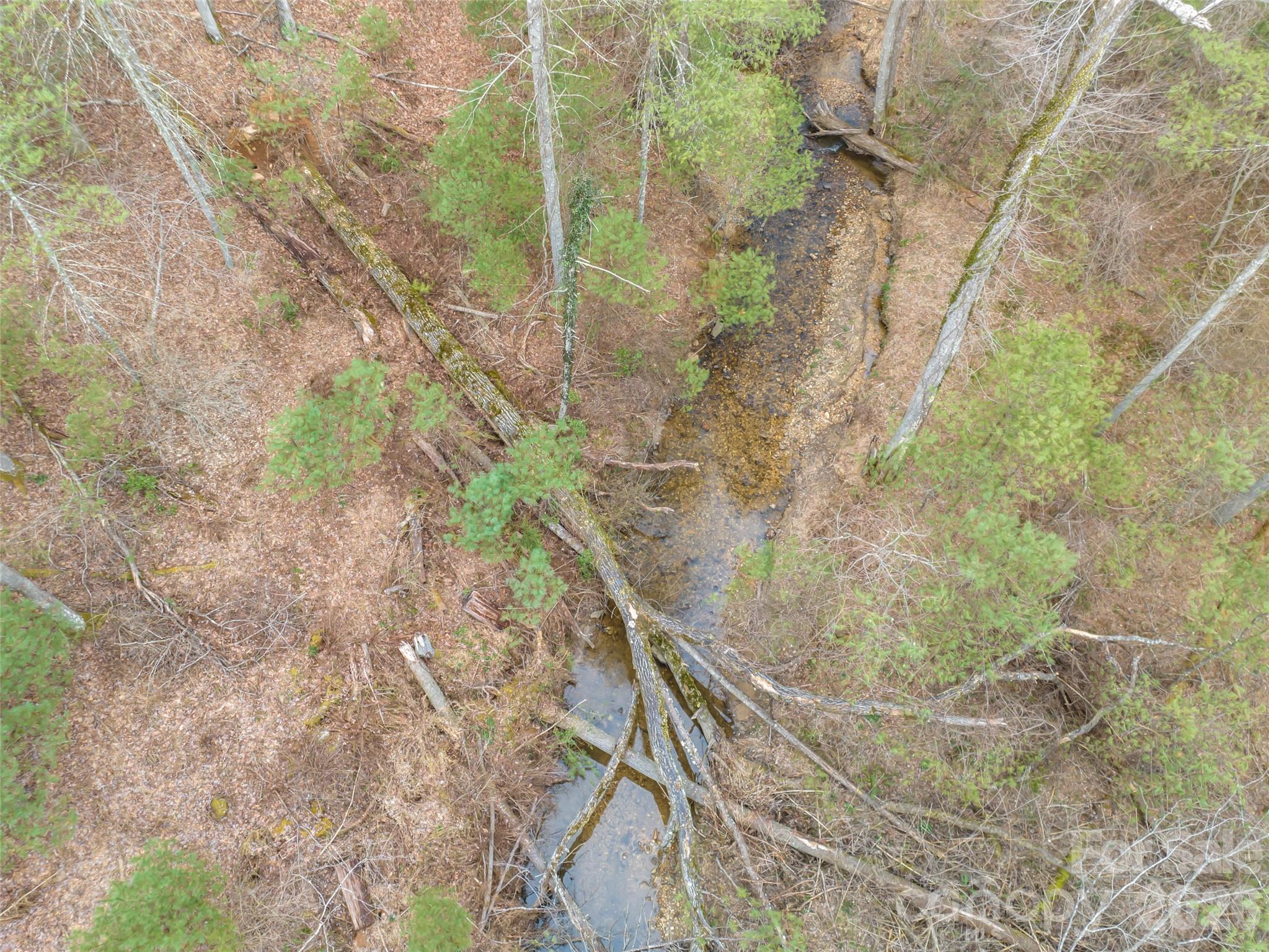 Biltmore Forest - Residential