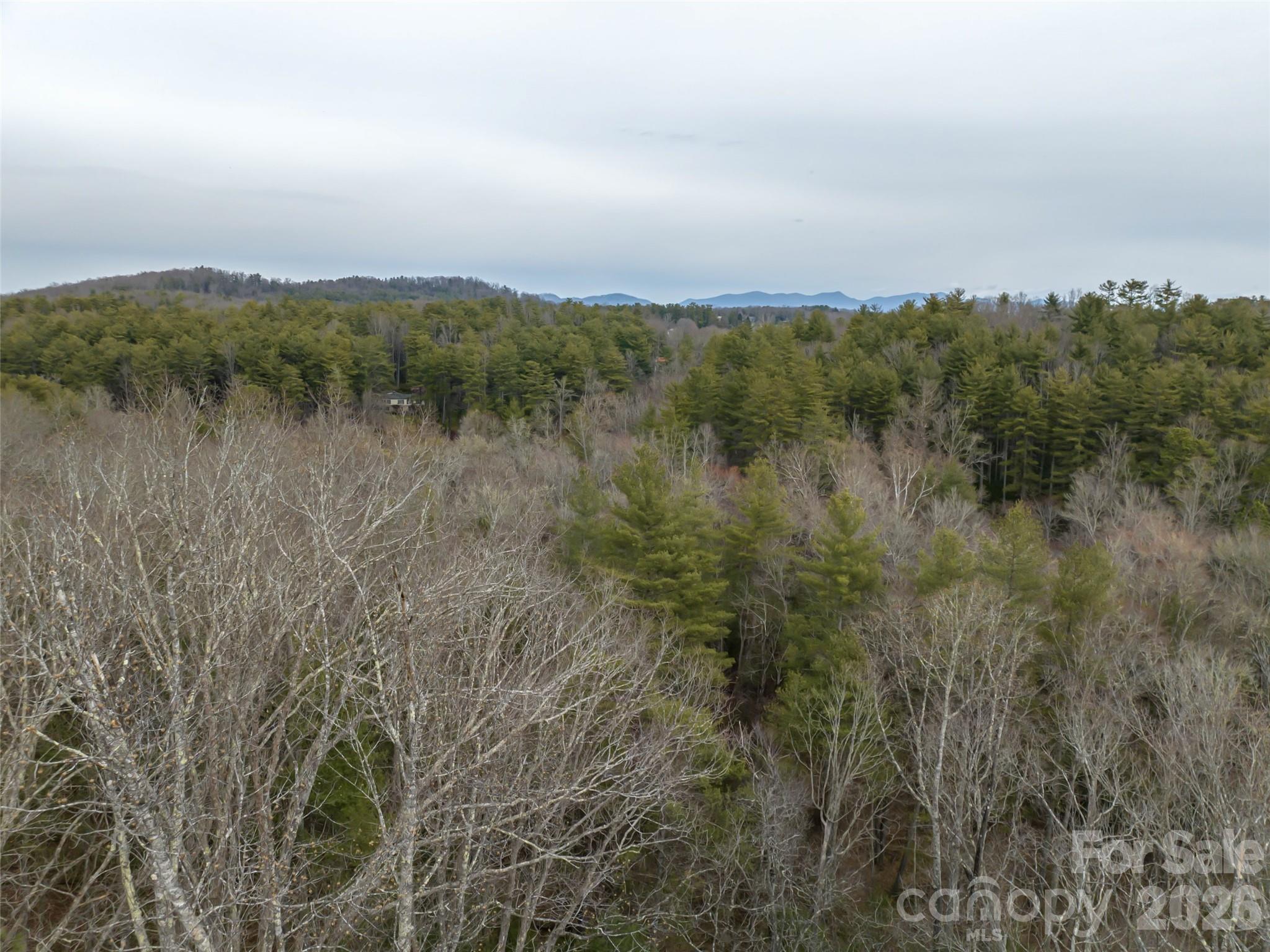 Biltmore Forest - Residential