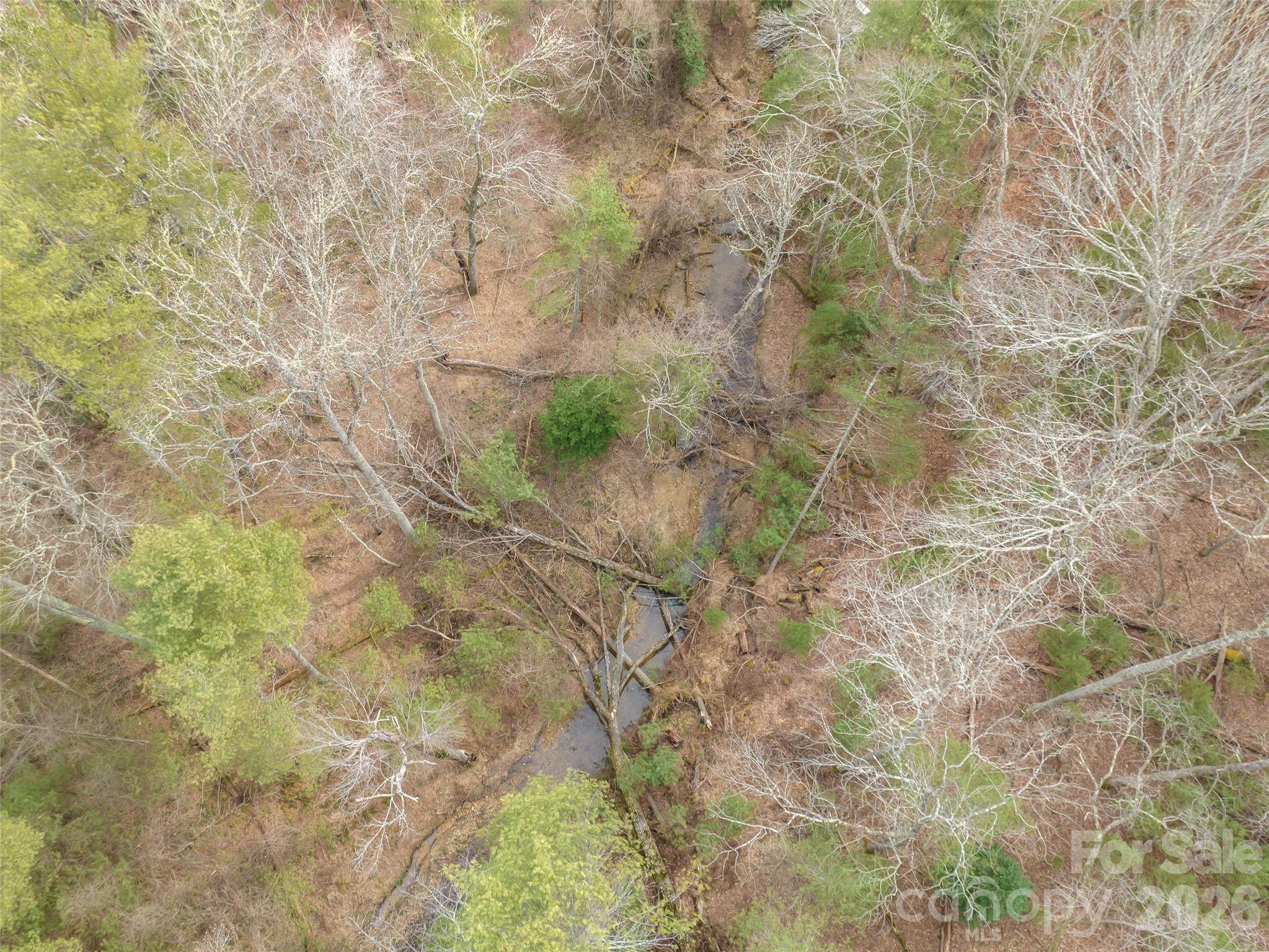 Biltmore Forest - Residential