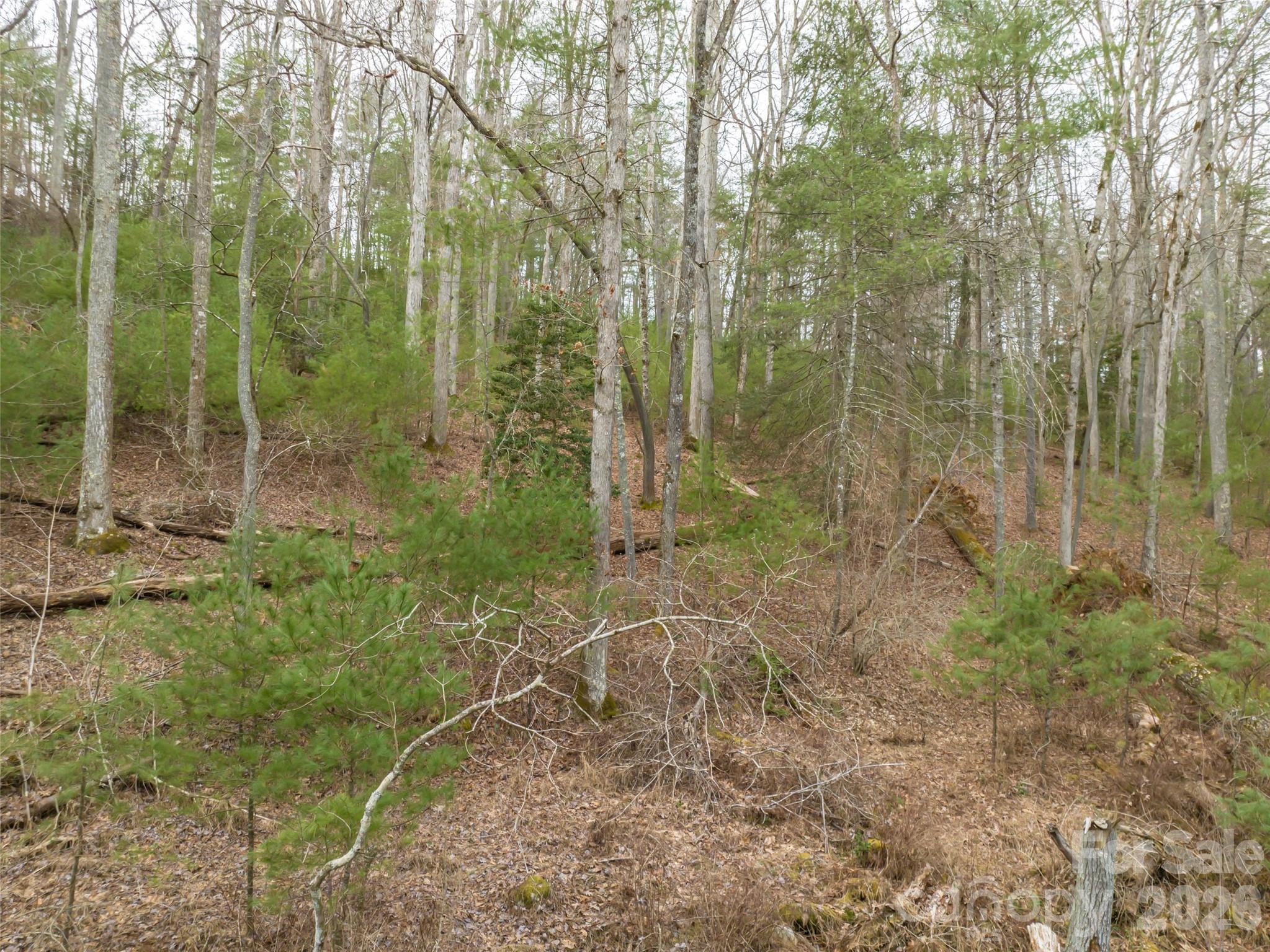 Biltmore Forest - Residential