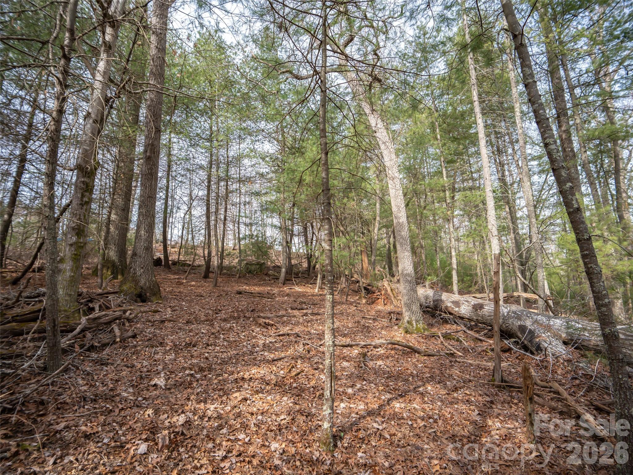 Biltmore Forest - Residential