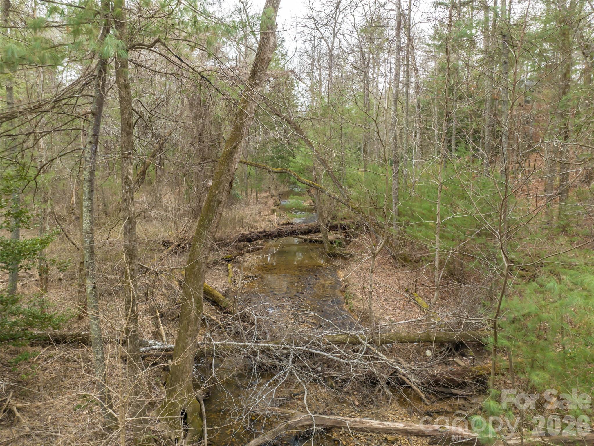 Biltmore Forest - Residential