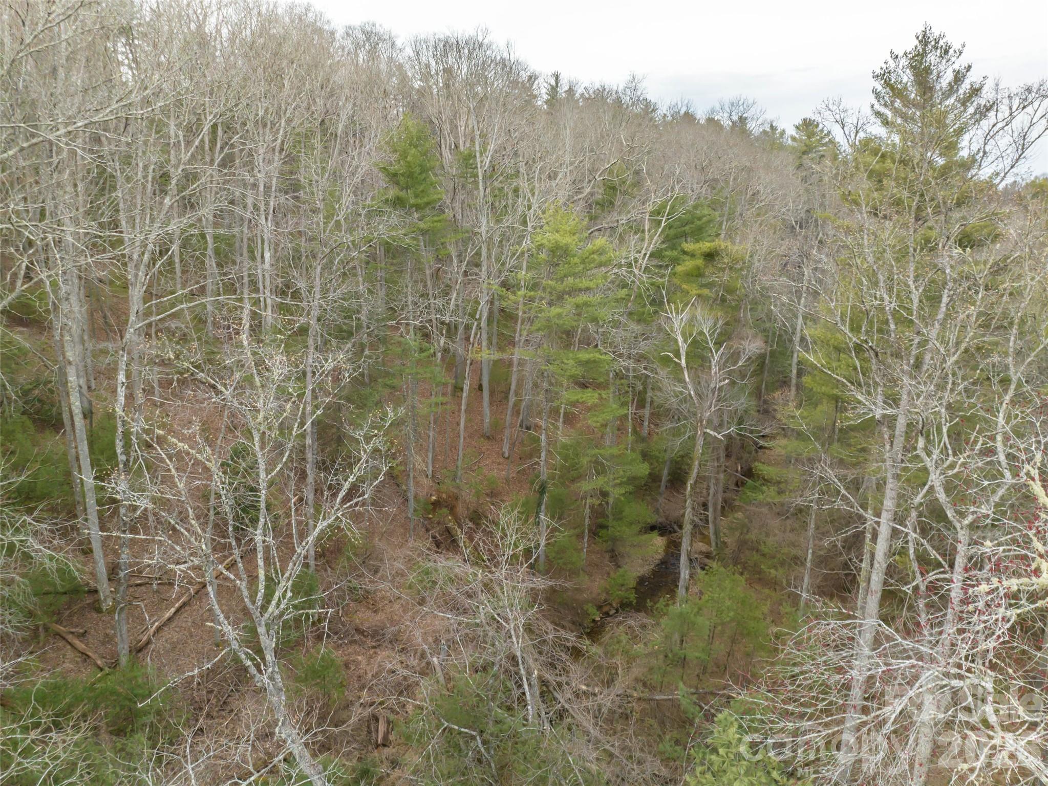 Biltmore Forest - Residential