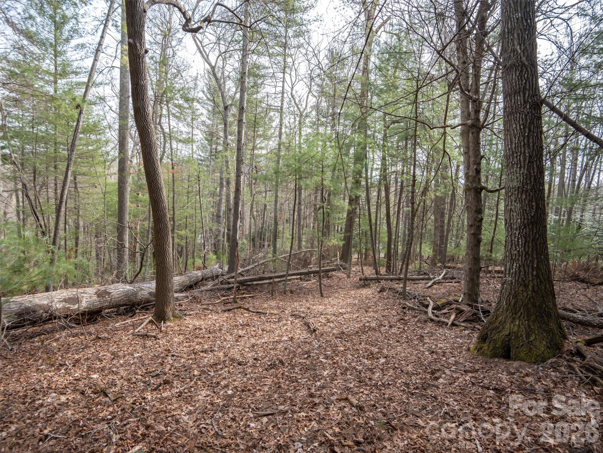 Biltmore Forest - Residential