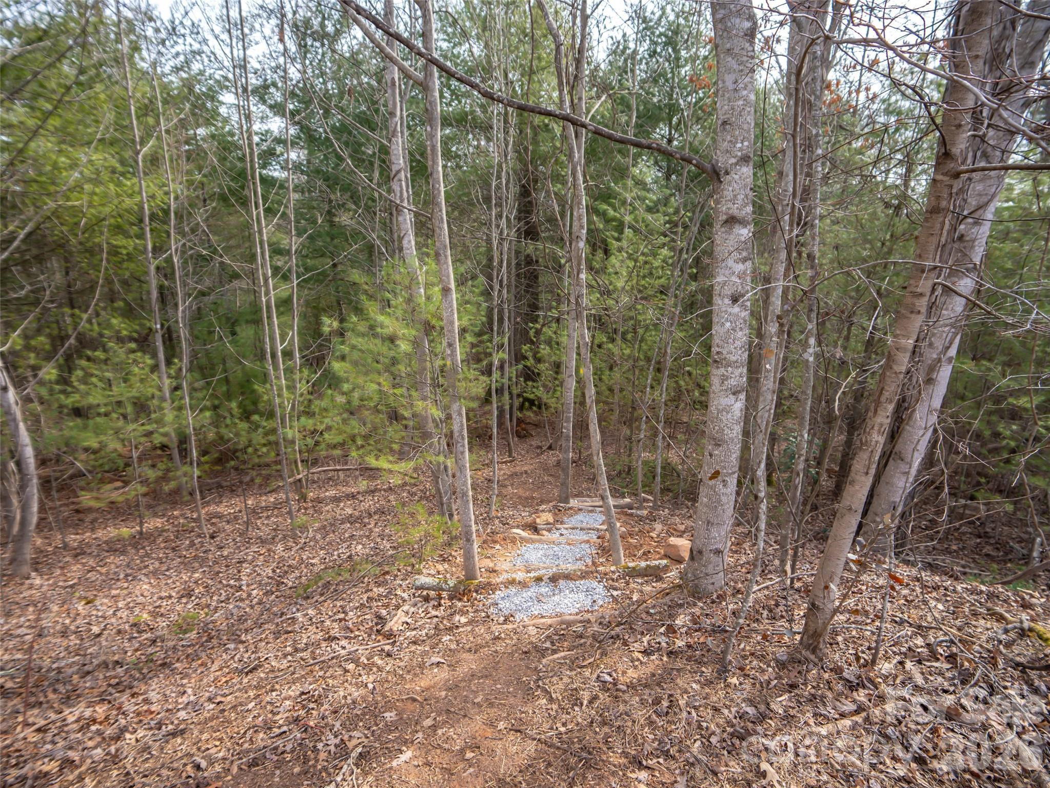 Biltmore Forest - Residential