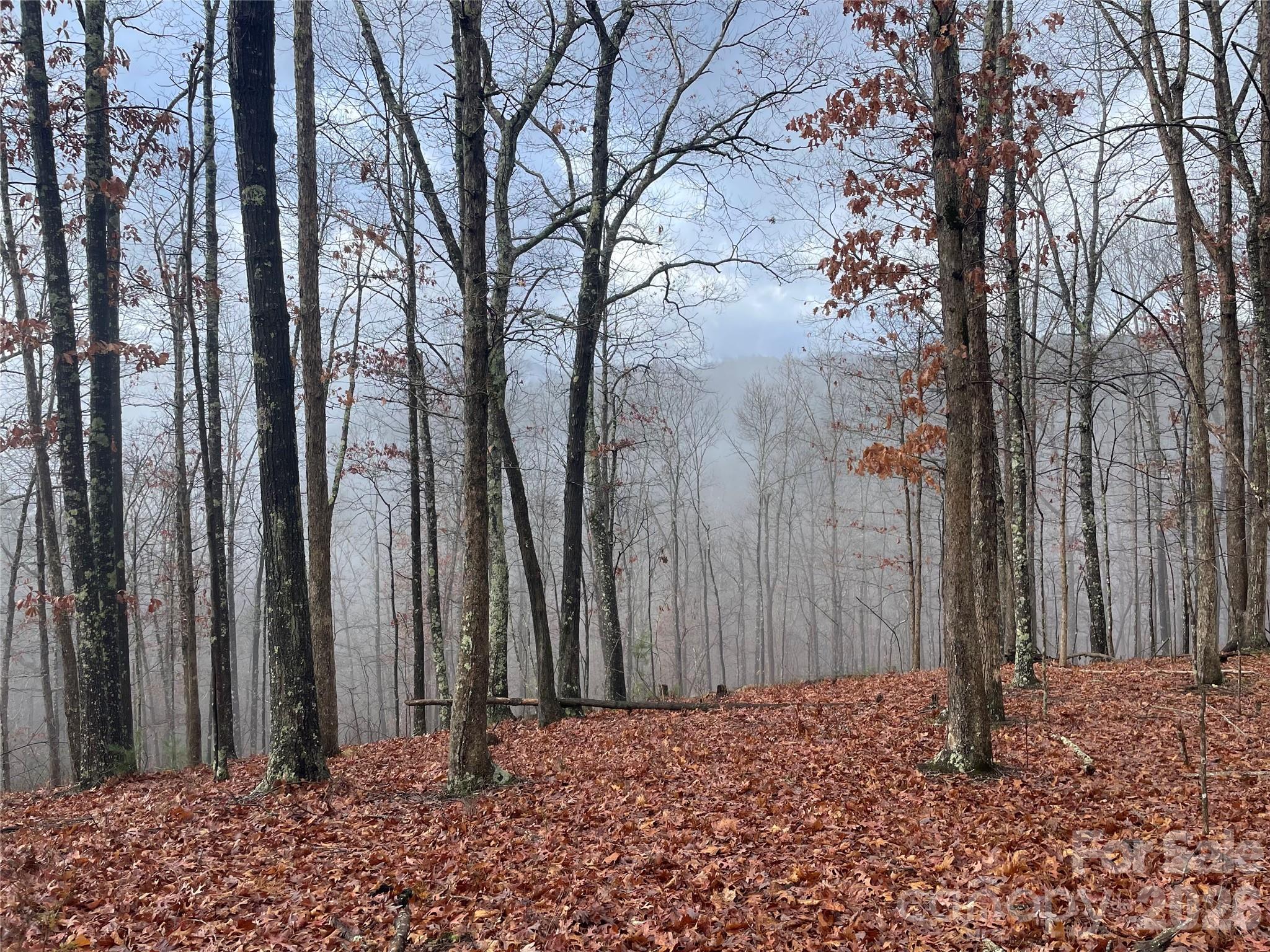 French Broad Crossing - Land