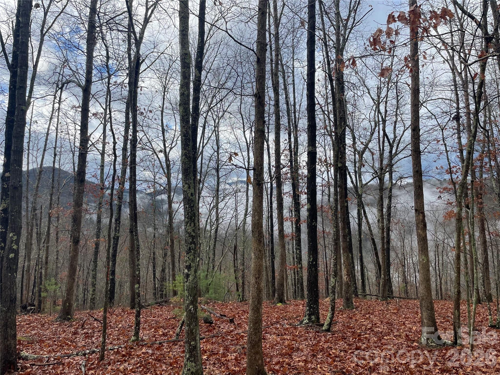 French Broad Crossing - Land
