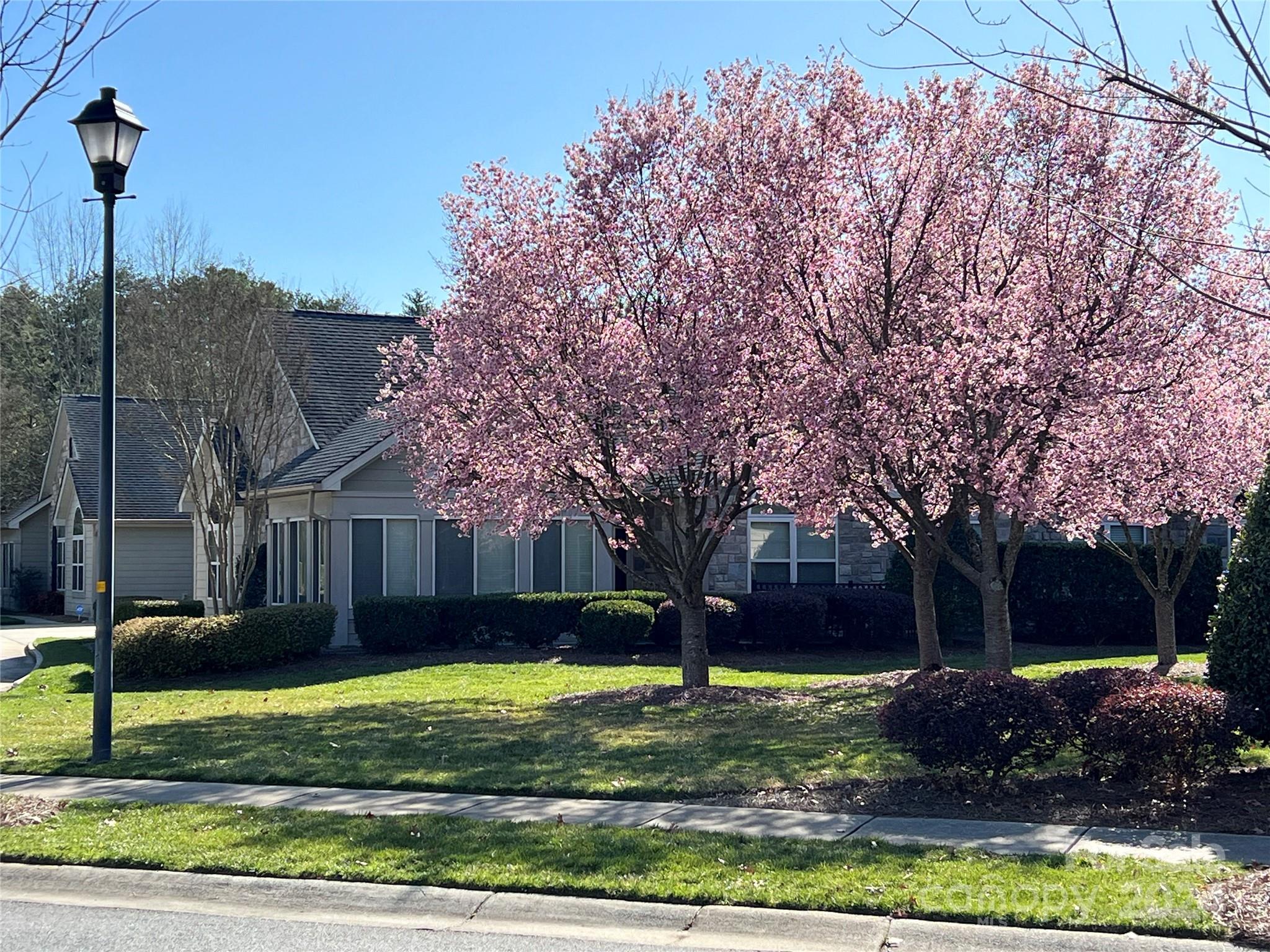 Stonecrest Villas of Tega Cay - Residential