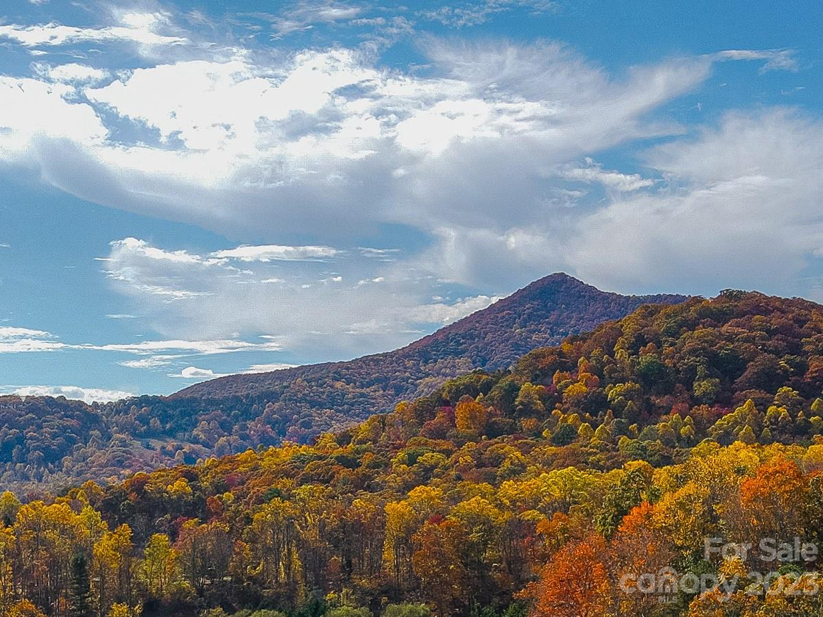 StoneRidge at Hayes Mountain - Residential