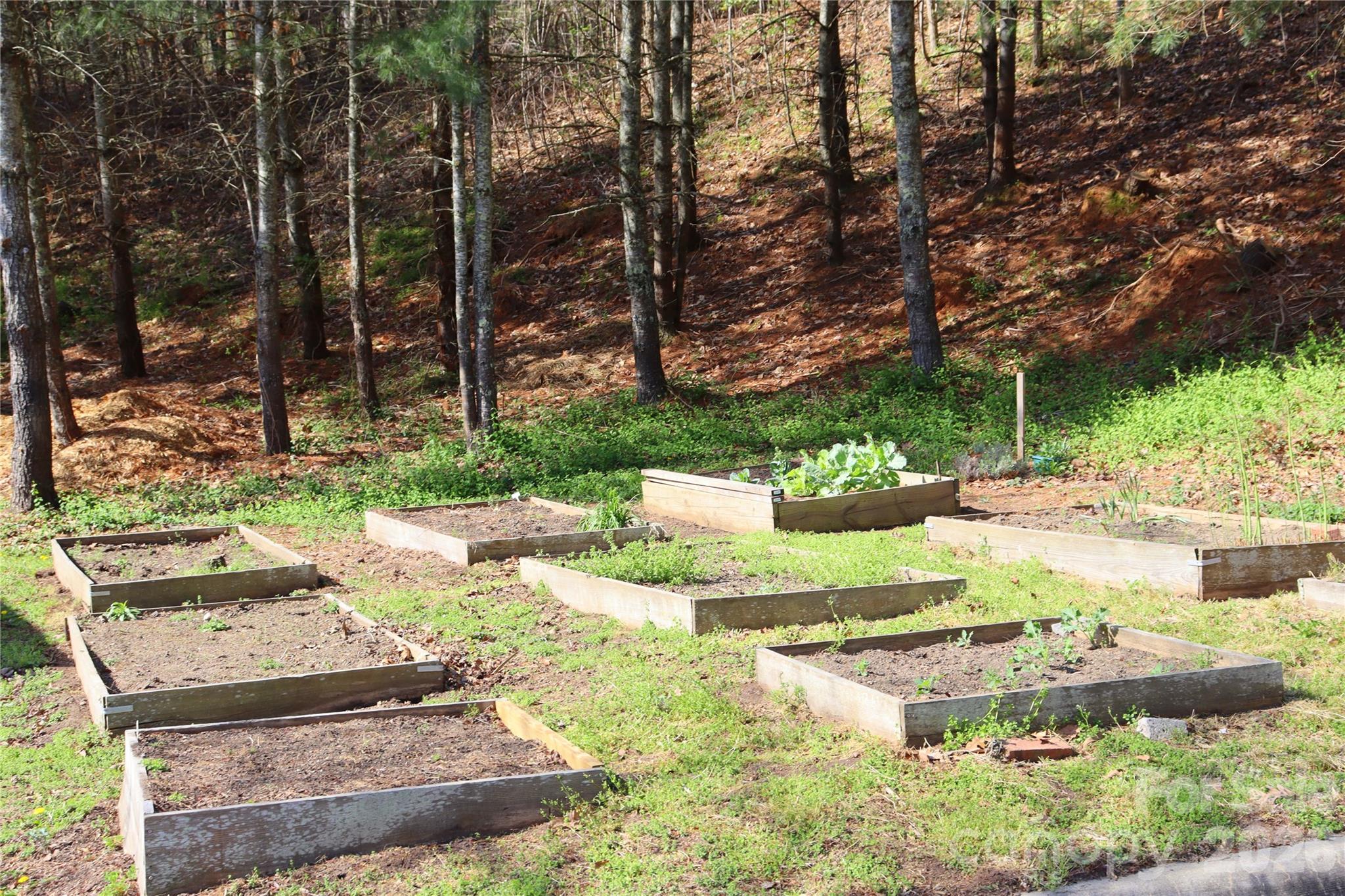 Seasons At Biltmore Lake - Residential