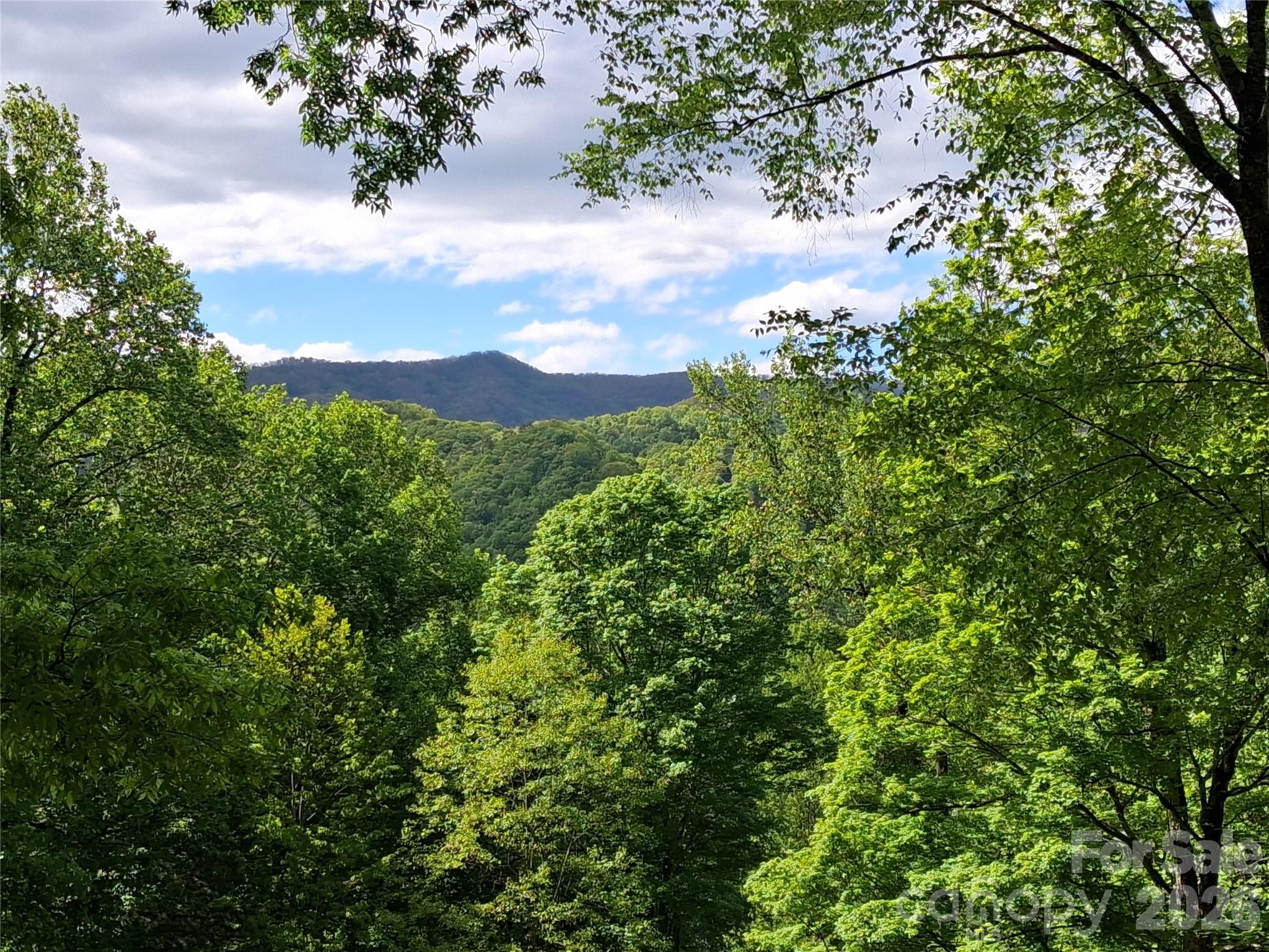 Mountain Top Development Inc - Residential