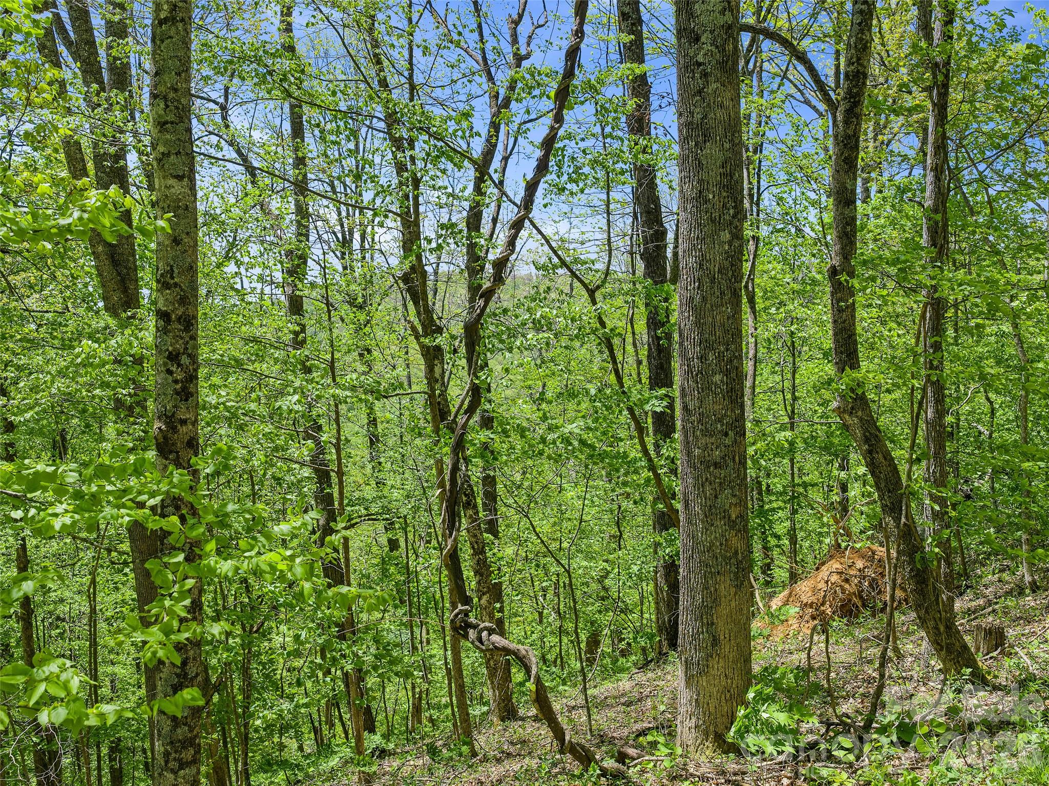 Holly Dale Lands - Land