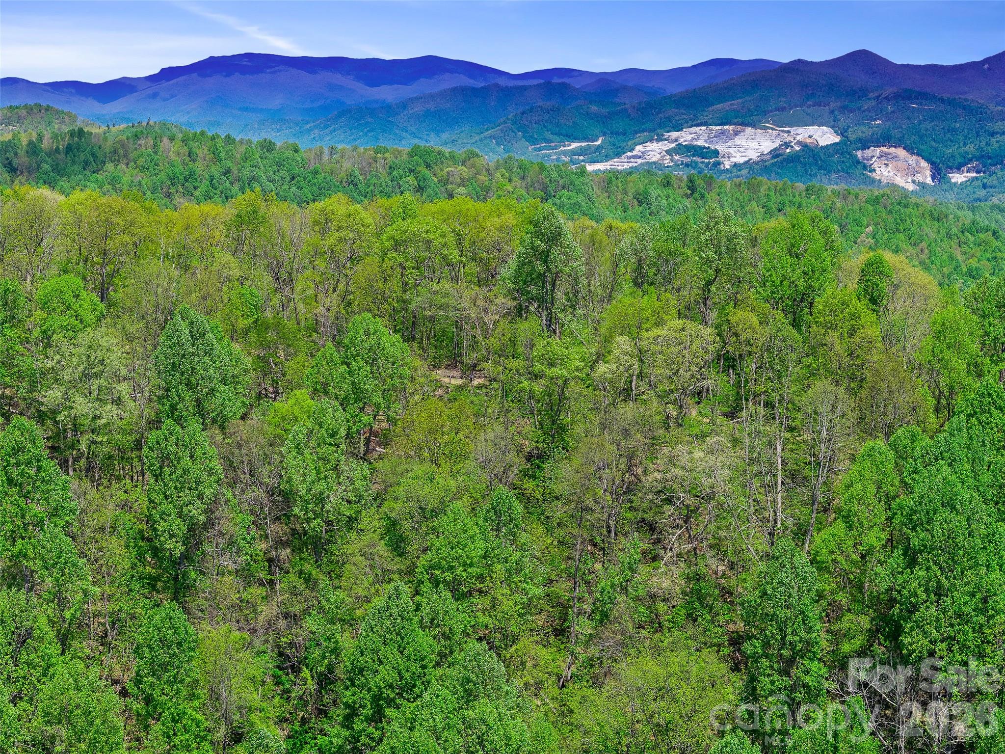 Holly Dale Lands - Land