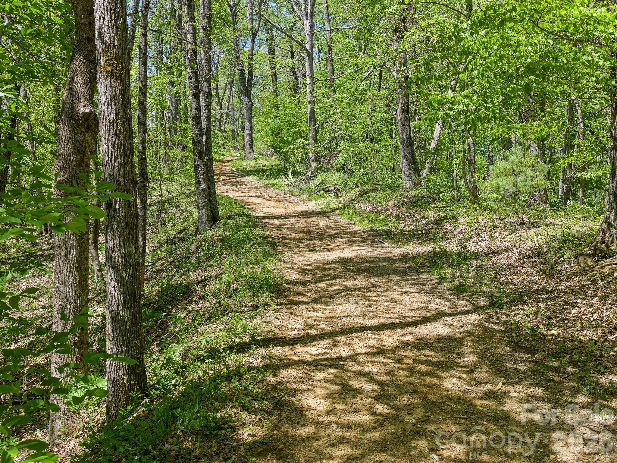 Holly Dale Lands - Land