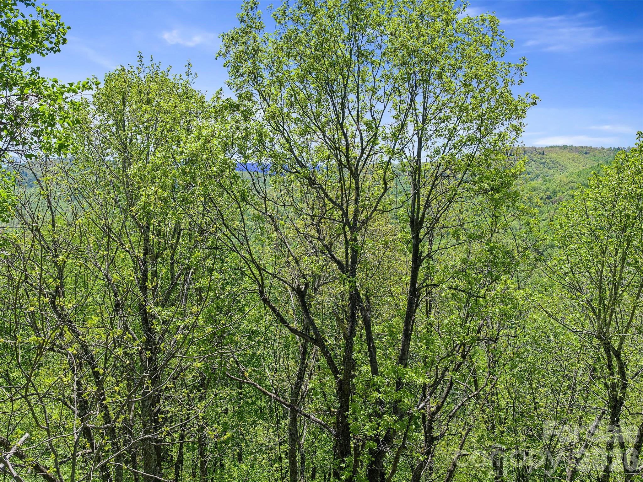 Holly Dale Lands - Land