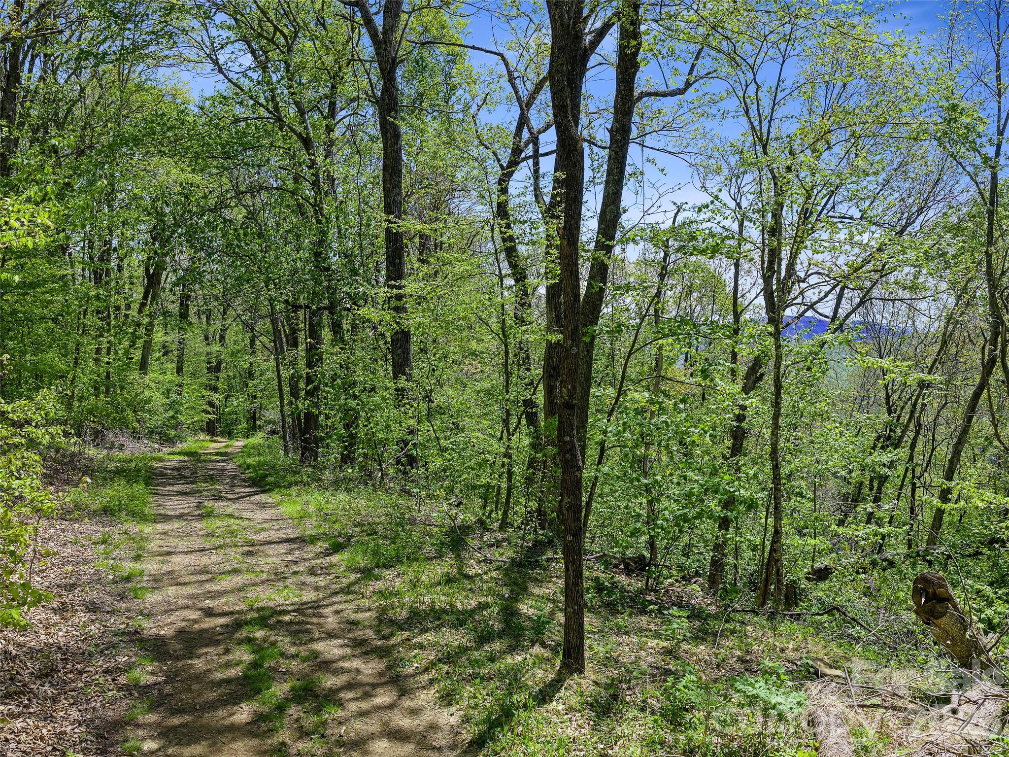 Holly Dale Lands - Land