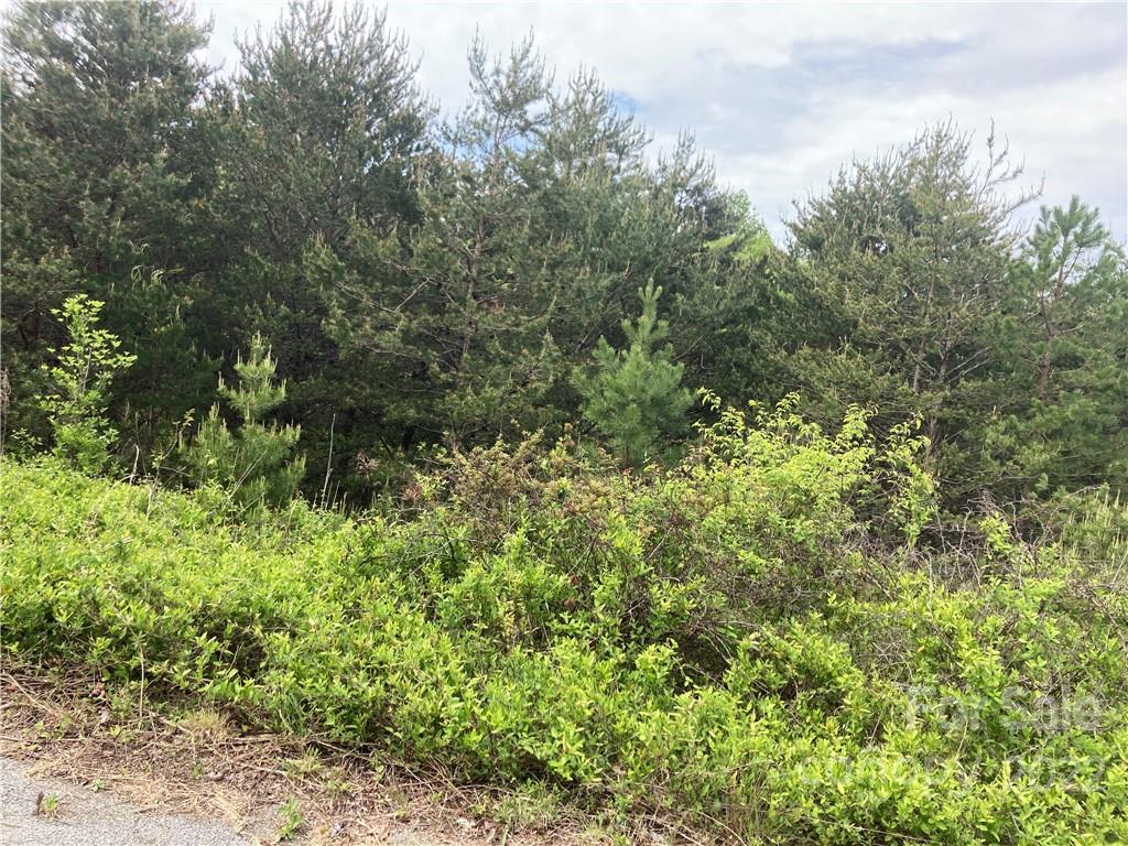 V/L Virginia Ridge 56