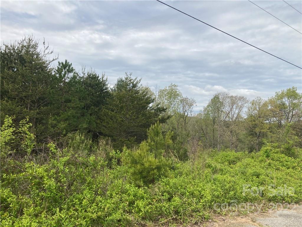 V/L Virginia Ridge 56